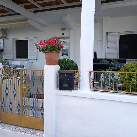 Alexandros Cosy House For Family Vacation Daire Hanya Dış mekan fotoğraf