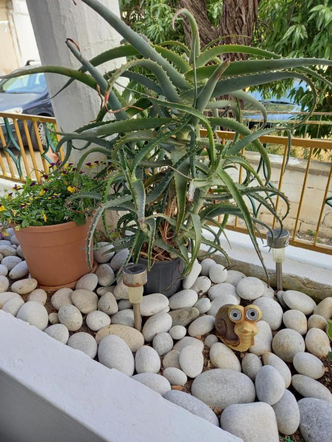 Alexandros Cosy House For Family Vacation Daire Hanya Dış mekan fotoğraf
